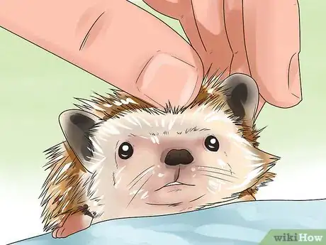 Imagen titulada React when Your Hedgehog Bites You Step 13