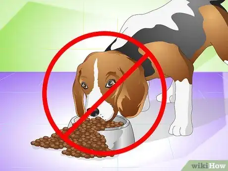 Imagen titulada Cure a Dog's Stomach Ache Step 16