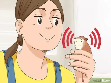 Imagen titulada Understand Gerbil Vocalizations Step 4