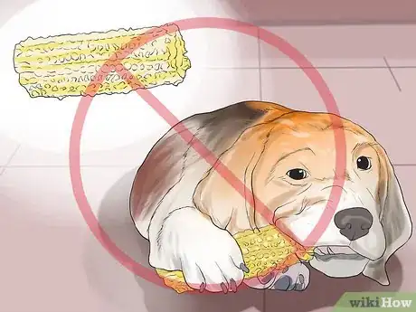 Imagen titulada Avoid Foods Dangerous for Your Dog Step 10