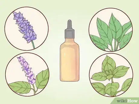 Imagen titulada Blend Essential Oils Step 1