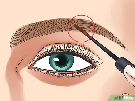 Imagen titulada Choose Eyebrow Color Step 11