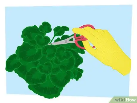 Imagen titulada Propagate Your Plants Step 7