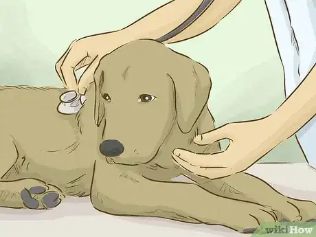 Imagen titulada Become a Veterinarian Step 10