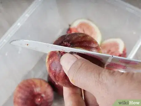 Imagen titulada Dry Figs Step 10