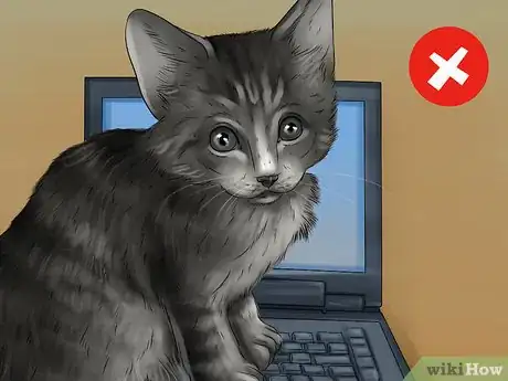 Imagen titulada Cat Proof Your Computer Step 12