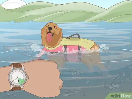 Imagen titulada Safely Introduce Your Dog to Water Step 9