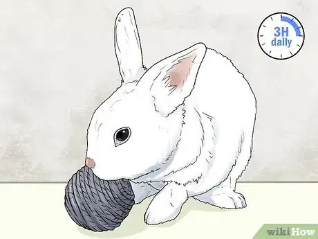 Imagen titulada Keep a Rabbit in an Apartment Step 16