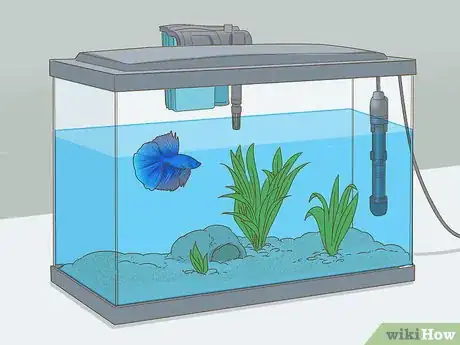 Imagen titulada Grow a Bond With Your Betta Fish Step 2