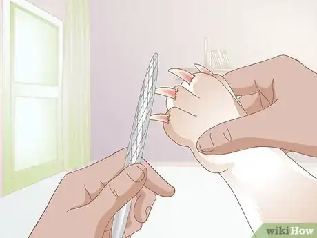 Imagen titulada Avoid the Quick when Trimming Your Dog's Nails Step 4