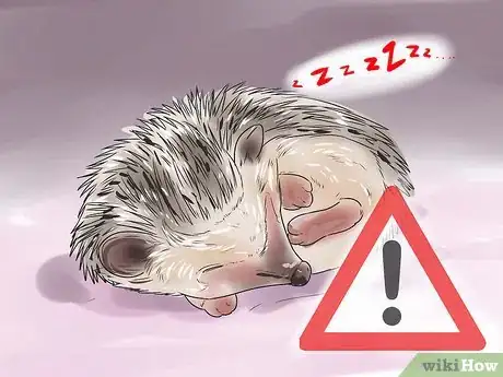 Imagen titulada React when Your Hedgehog Bites You Step 15