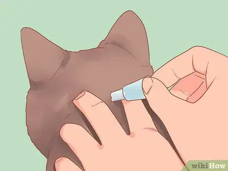 Imagen titulada Introduce Your Kitten to the Outdoors Safely Step 10