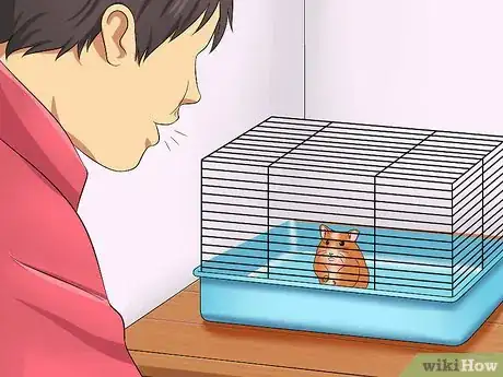 Imagen titulada Make Your Hamster Trust You Step 4