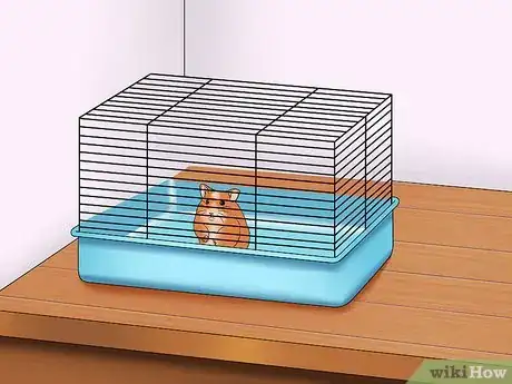 Imagen titulada Make Your Hamster Trust You Step 1