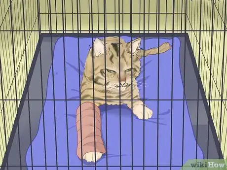 Imagen titulada Splint a Cat's Broken Leg Step 18