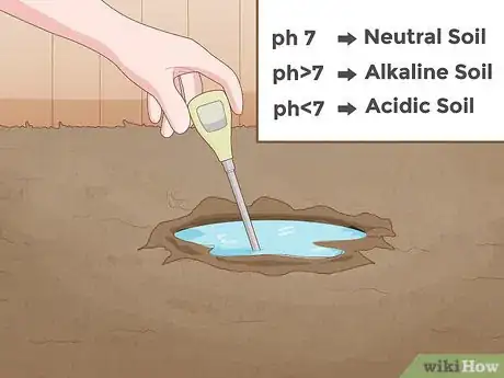 Imagen titulada Test Soil pH Step 4