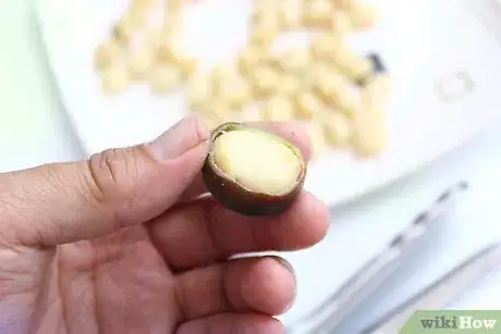 Imagen titulada Roast Macadamia Nuts Step 3