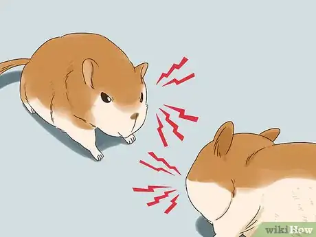 Imagen titulada Understand Gerbil Vocalizations Step 2