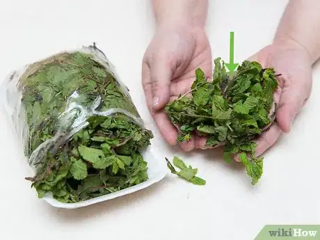 Imagen titulada Get Rid of Acne Using Mint Leaves Step 1