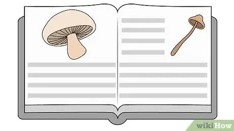 Imagen titulada Pick Mushrooms Step 14