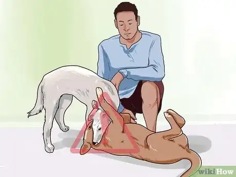 Imagen titulada Break Up a Dog Fight Step 11