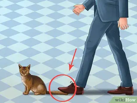 Imagen titulada Treat a Cat with a Tail Pull Injury Step 1