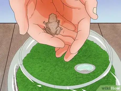 Imagen titulada Make Moss Terrariums Step 16