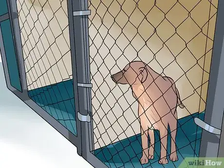 Imagen titulada Gain the Trust of a Stray Dog Step 17