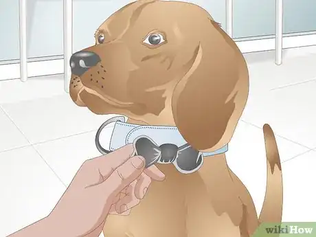 Imagen titulada Make a Dog Collar Step 10