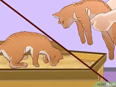 Imagen titulada Train an Outdoor Cat to Use a Litter Box Step 9