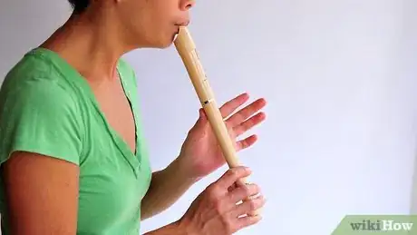 Imagen titulada Play the Recorder Step 6