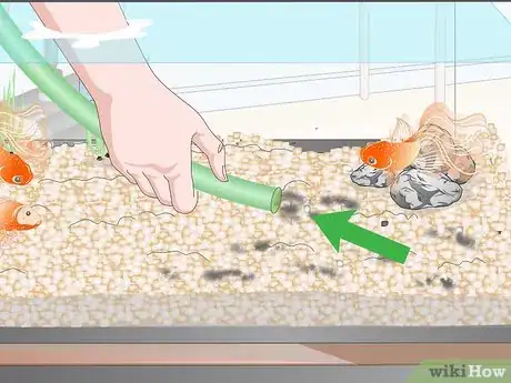 Imagen titulada Clean Fish Tank Rocks Step 10