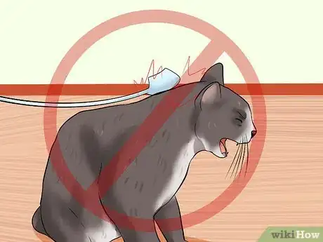 Imagen titulada Train Your Cat to Come to You Step 12