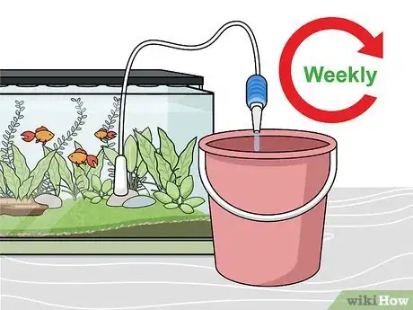 Imagen titulada Grow Freshwater Aquarium Plants Step 13