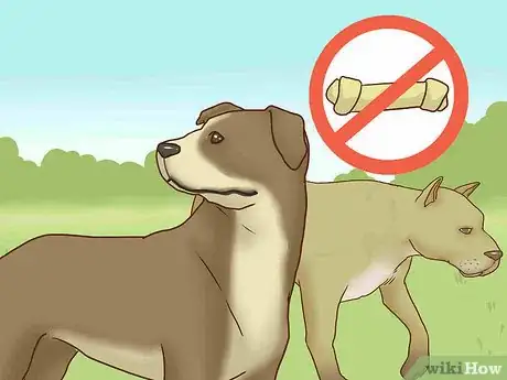 Imagen titulada Get Your Dog to Stop Play Biting Step 14