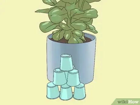 Imagen titulada Prevent Cats from Digging Up Houseplants Step 3