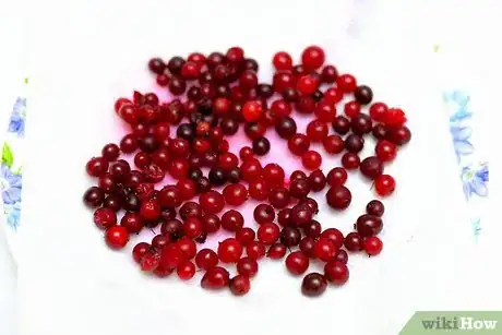 Imagen titulada Dry Cranberries Step 4