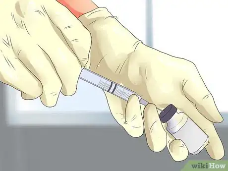 Imagen titulada Give a Dog a Rabies Shot at Home Step 13