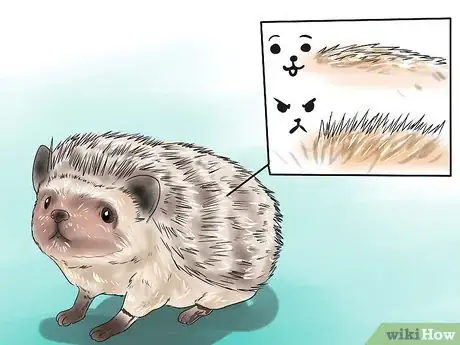 Imagen titulada React when Your Hedgehog Bites You Step 17