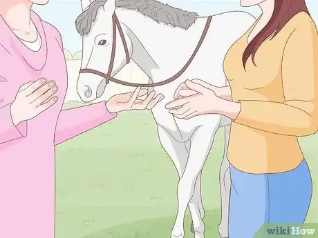 Imagen titulada Give a Horse an Injection Step 1