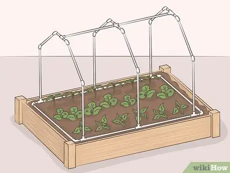 Imagen titulada Make a Mini Greenhouse Step 13