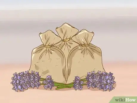 Imagen titulada Freshen Your Home with Lavender Step 11