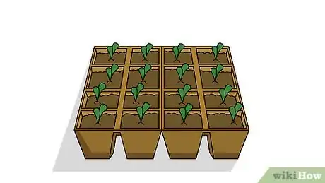 Imagen titulada Grow Melons Step 4