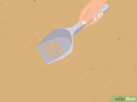 Imagen titulada Keep Your Sandbox Safe and Sanitary Step 5