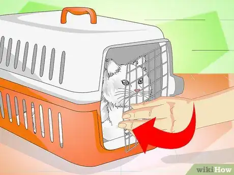 Imagen titulada Get a Cat Into a Pet Carrier Step 6