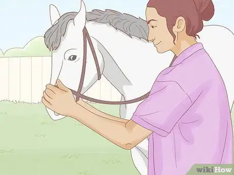 Imagen titulada Give a Horse an Injection Step 8