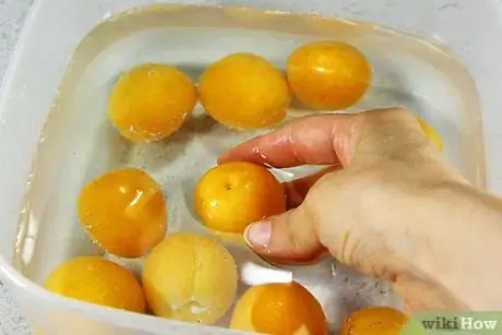 Imagen titulada Freeze Apricots Step 2