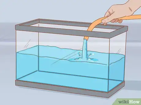 Imagen titulada Add Fish to a New Tank Step 2