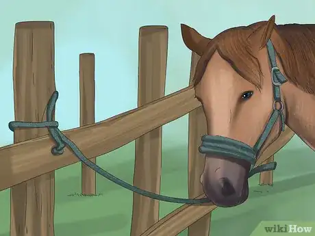 Imagen titulada Tie up a Horse Step 10