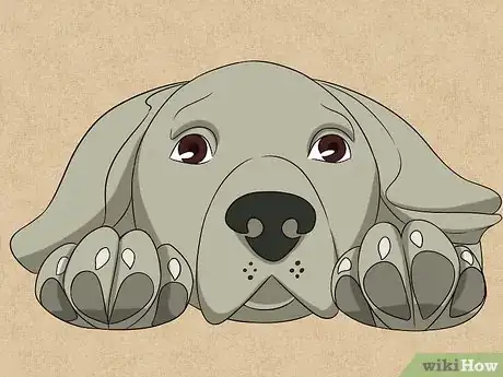 Imagen titulada Draw a Dog Face Step 8